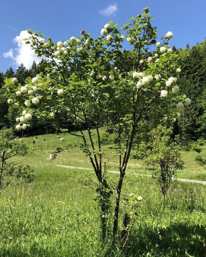 Vrata Pri Cepovanu Exterior foto